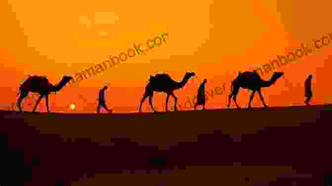 A Group Of Camels Walking Through The Desert With A Sunset In The Background The Camel S Back: An Illustrated Edition