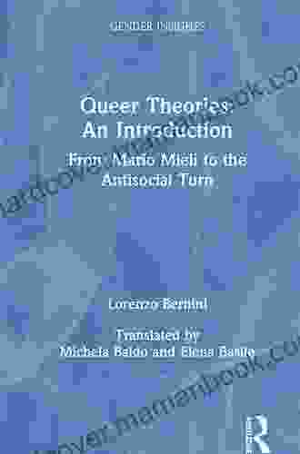 Queer Theories: An Introduction: From Mario Mieli To The Antisocial Turn (Gender Insights)