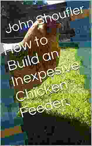 How To Build An Inexpesive Chicken Feeder