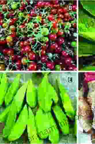 North American Cornucopia: Top 100 Indigenous Food Plants