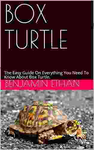 BOX TURTLE: The Easy Guide On Everything You Need To Know About Box Turtle