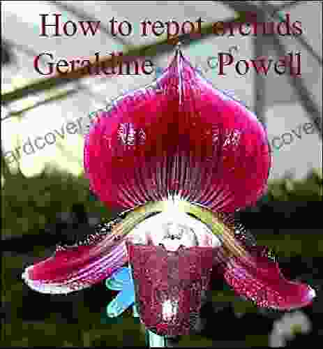 How To Repot Orchids Geraldine Powell