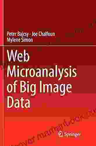 Web Microanalysis Of Big Image Data